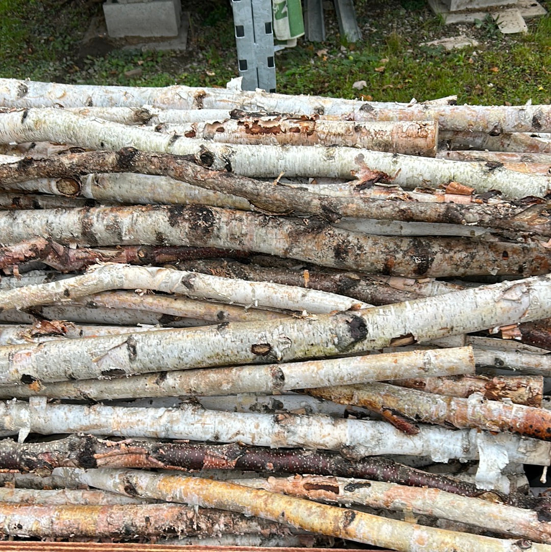 Birch Pole