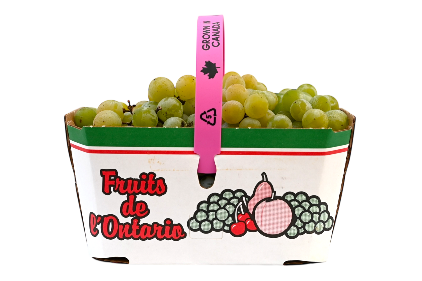 Local Grapes