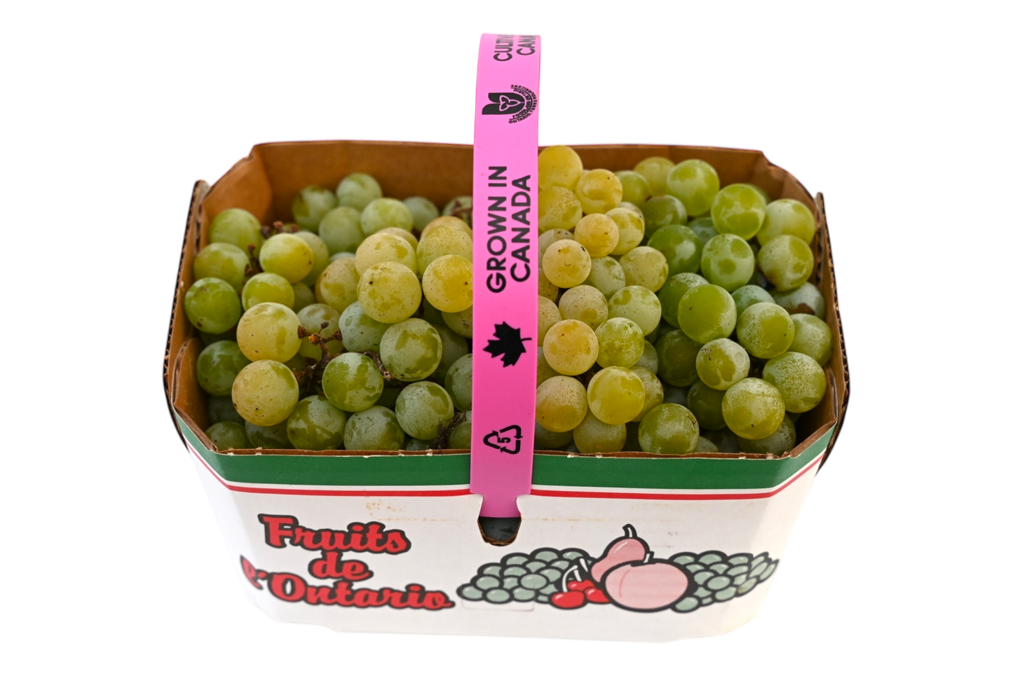 Local Grapes