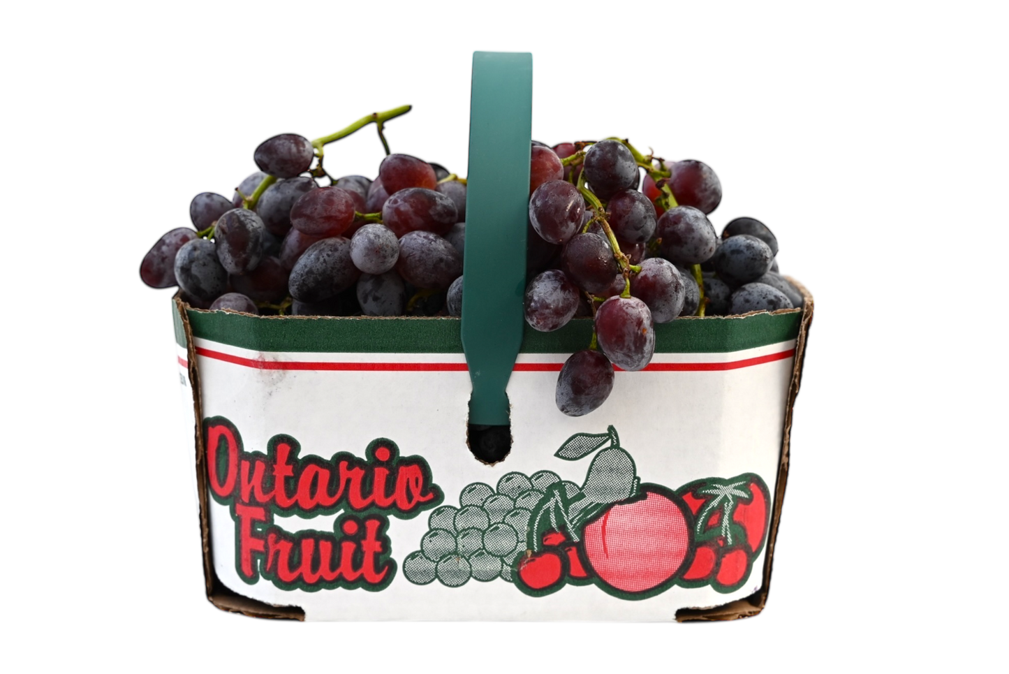 Local Grapes