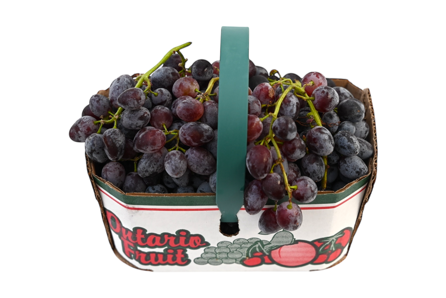 Local Grapes