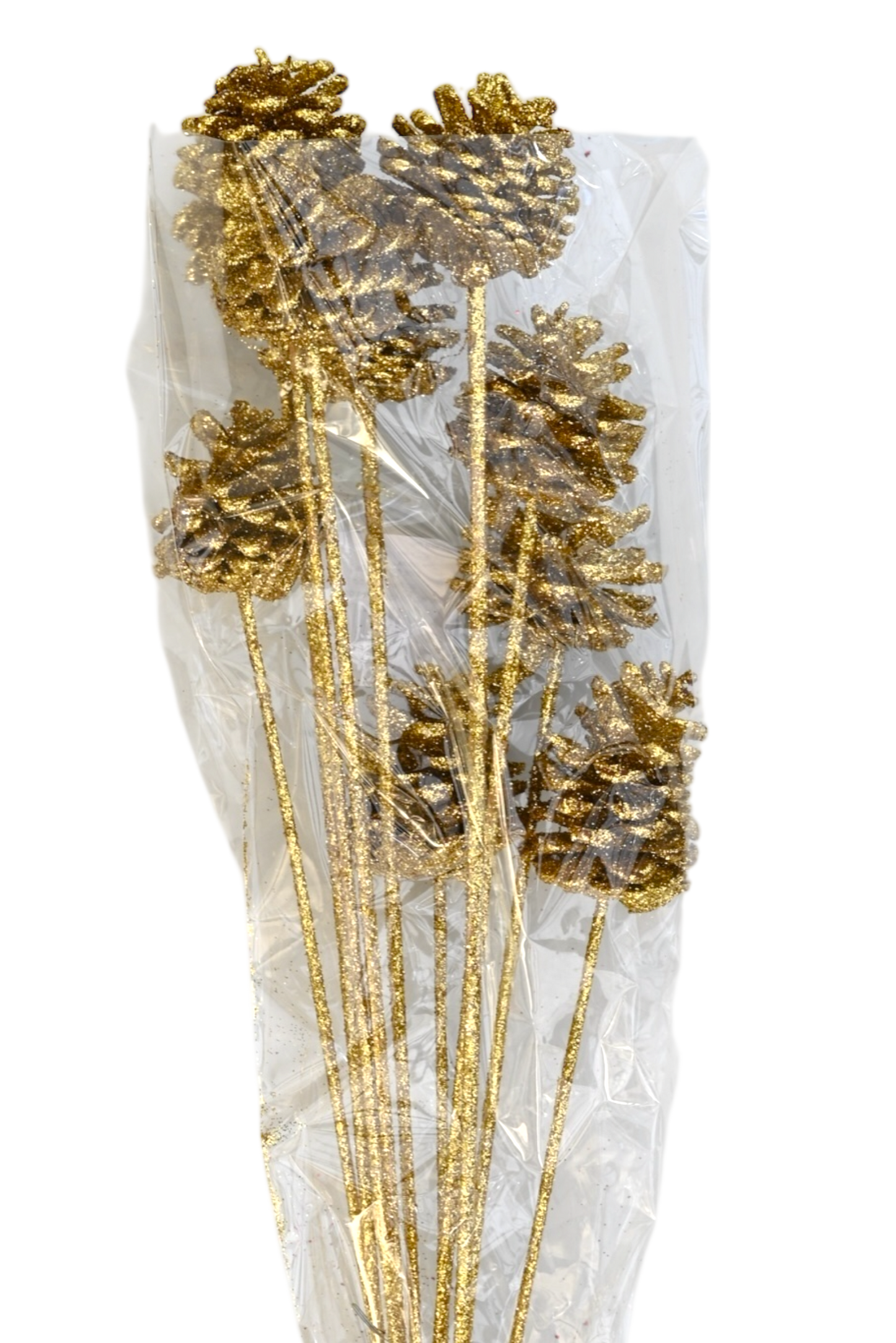 Regular Pine Cones -Gold Glitter