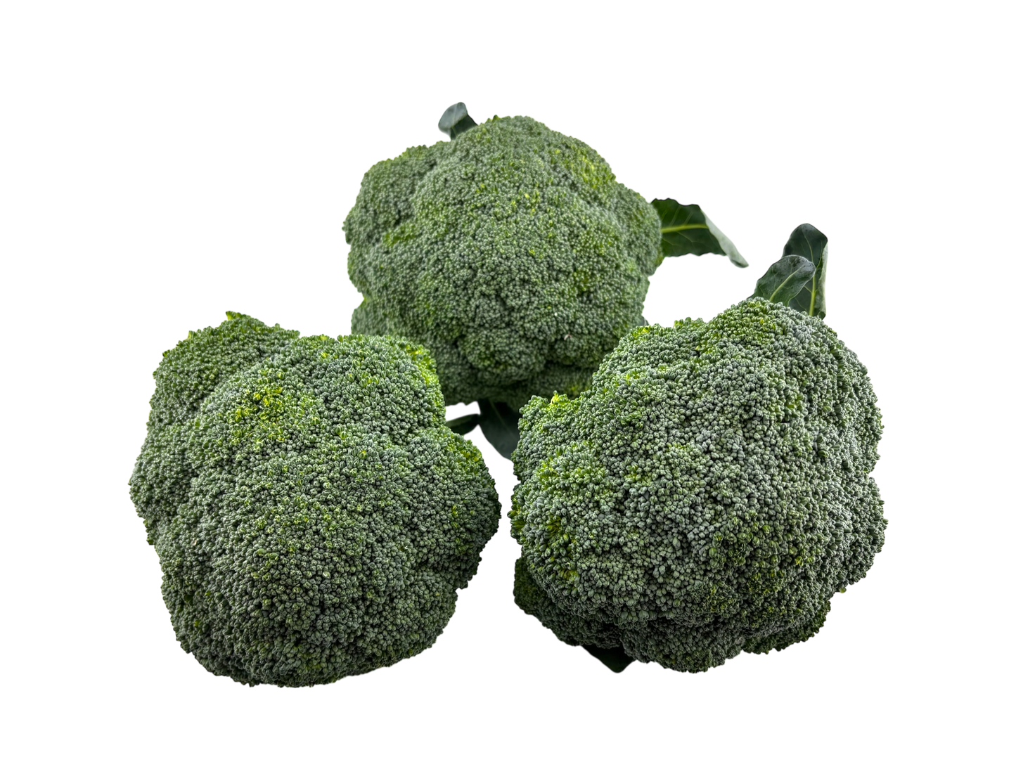Broccoli Crown - Local