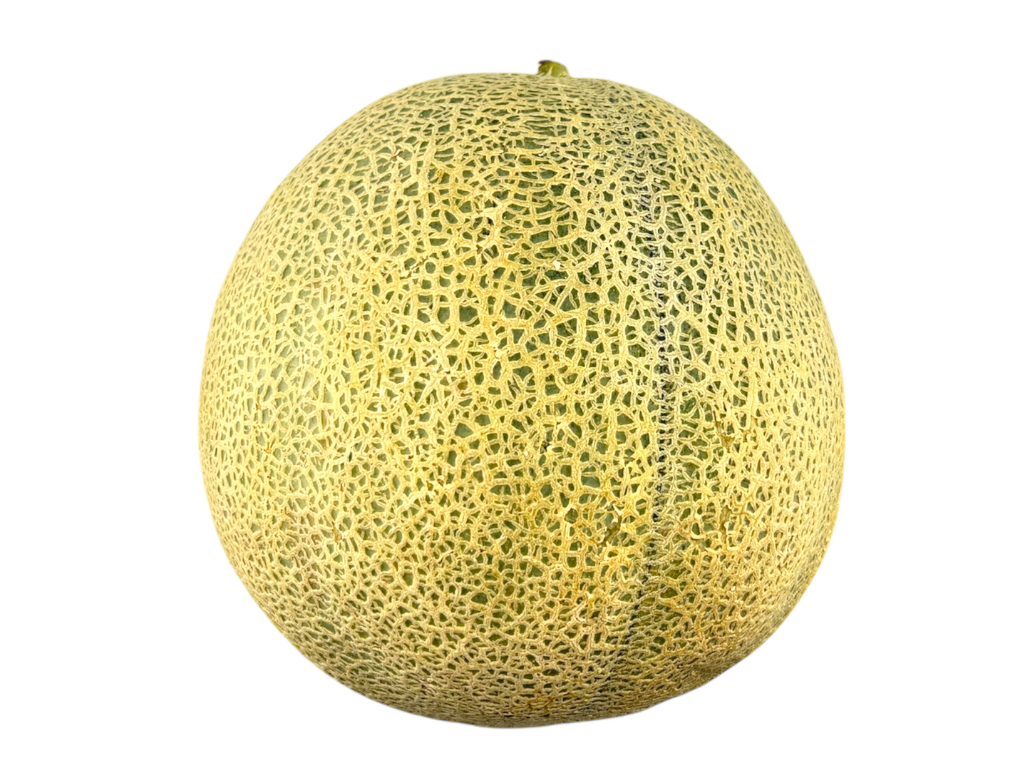 Cantaloupe