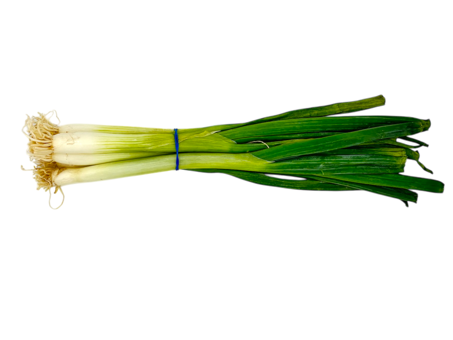 Green Onions