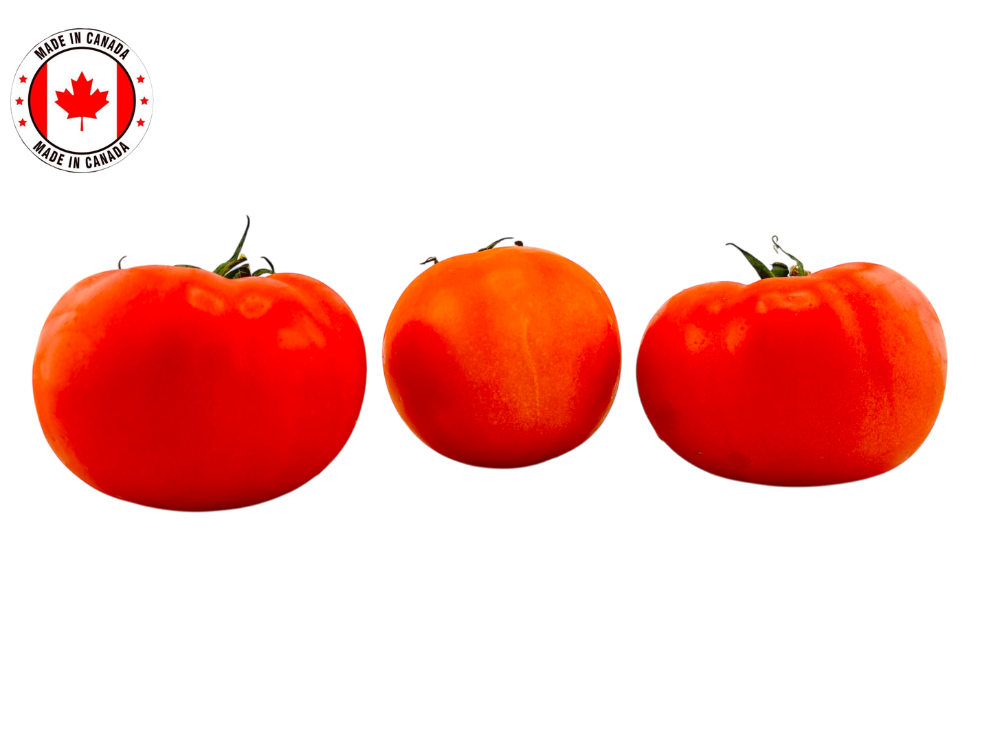 Beefsteak Tomato - Local
