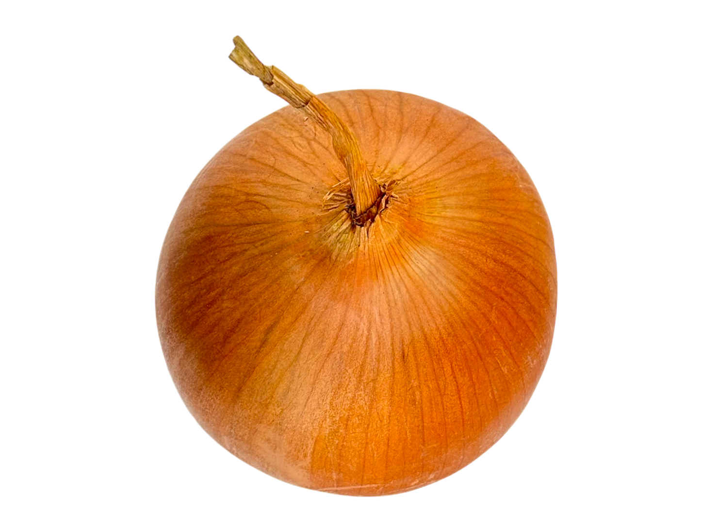 Spanish Onions - Local (Ontario)