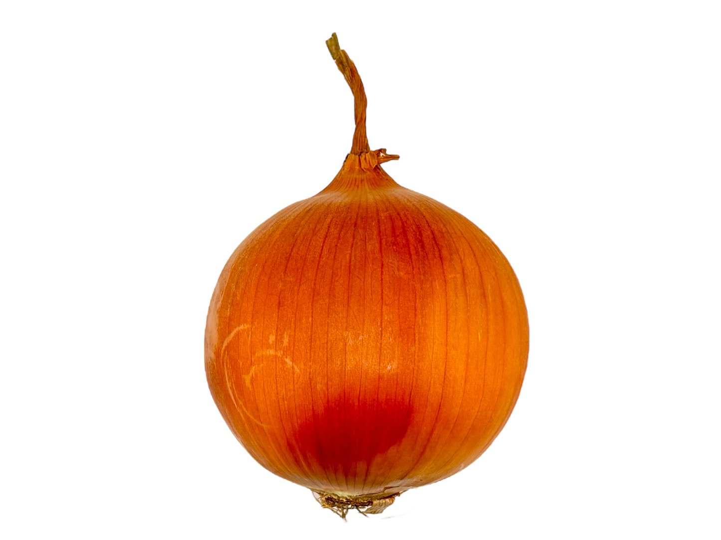 Spanish Onions - Local (Ontario)