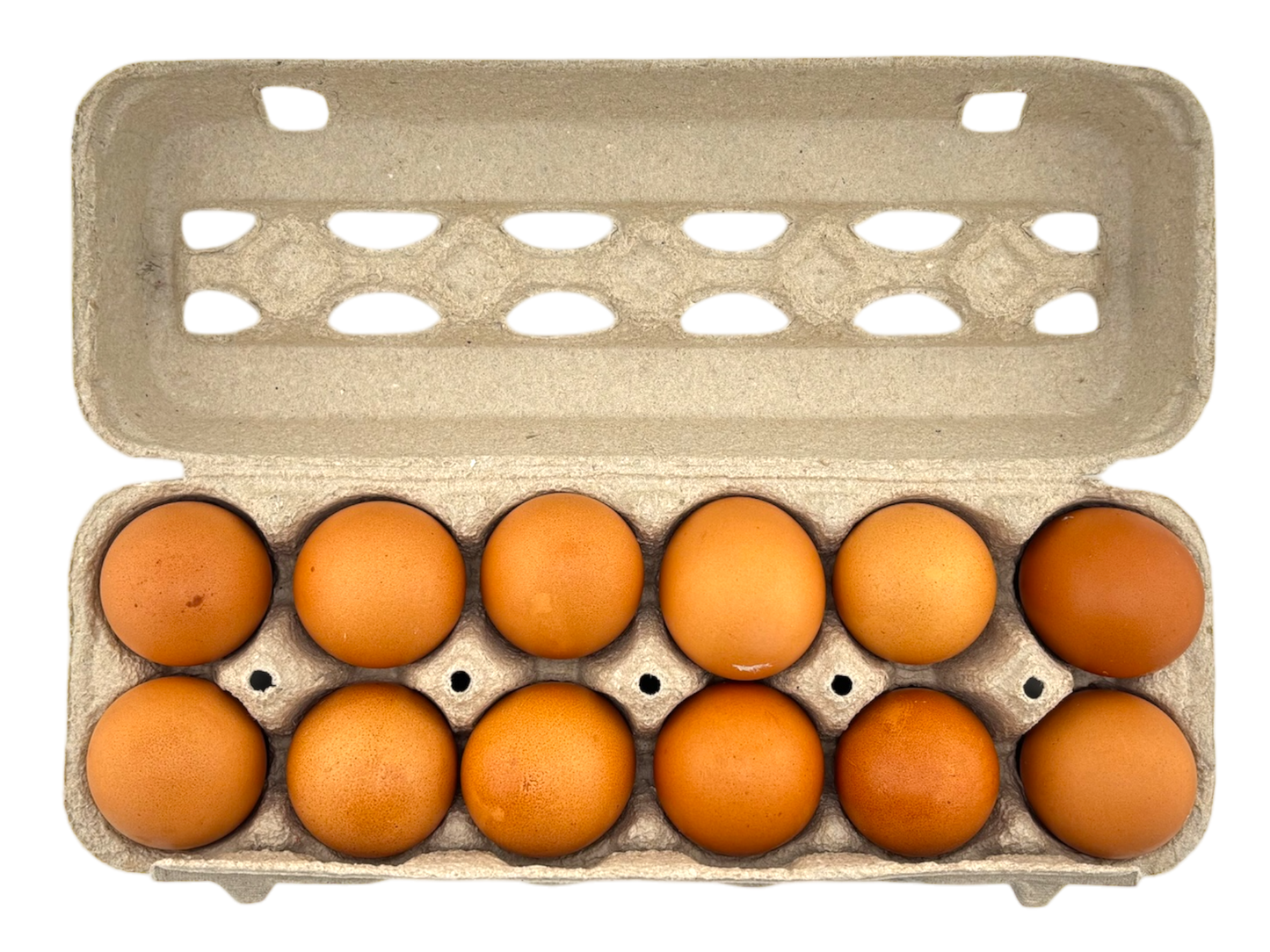 Large Grade A Brown Eggs - Packham Poultry