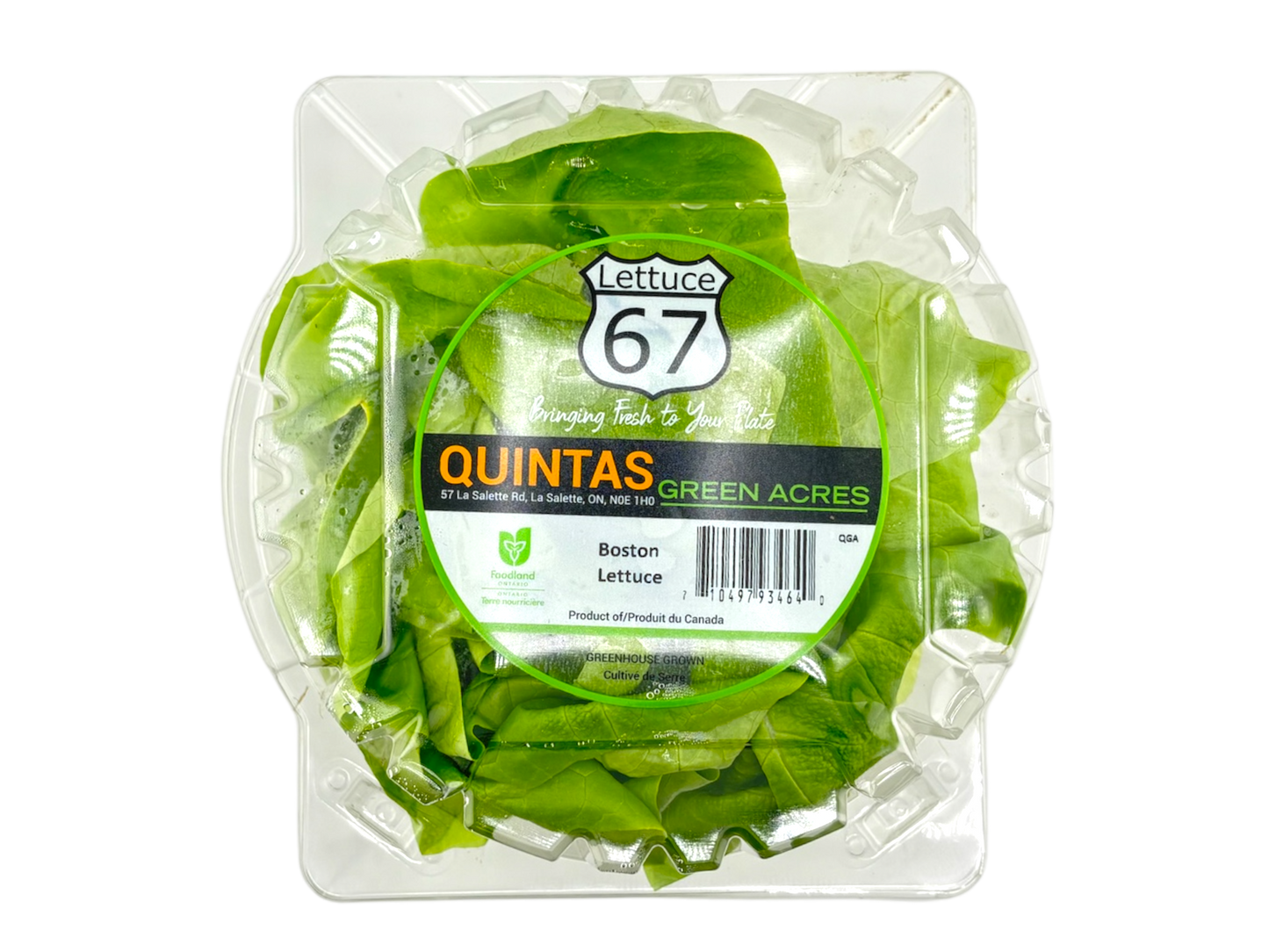 Boston Lettuce Clamshell - Local
