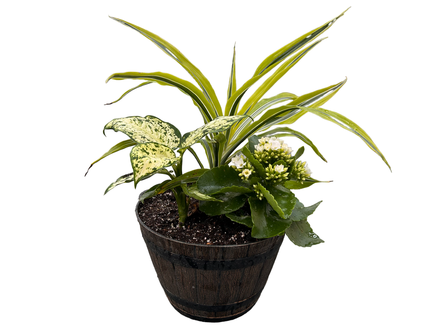 Tropical planter - plastic barrel