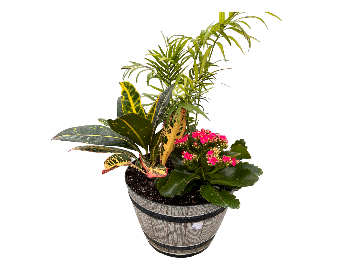 Tropical planter - plastic barrel