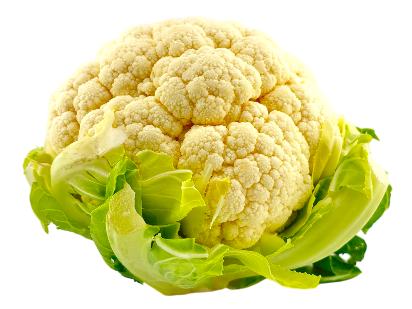 Local Cauliflower