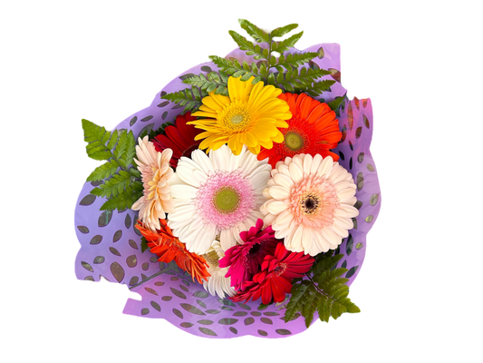 $20 Gerbera Bouquet