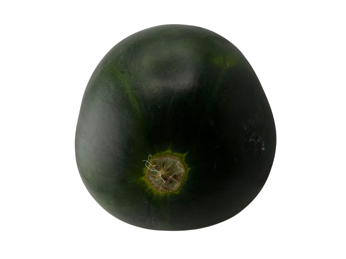 Seedless Watermelon