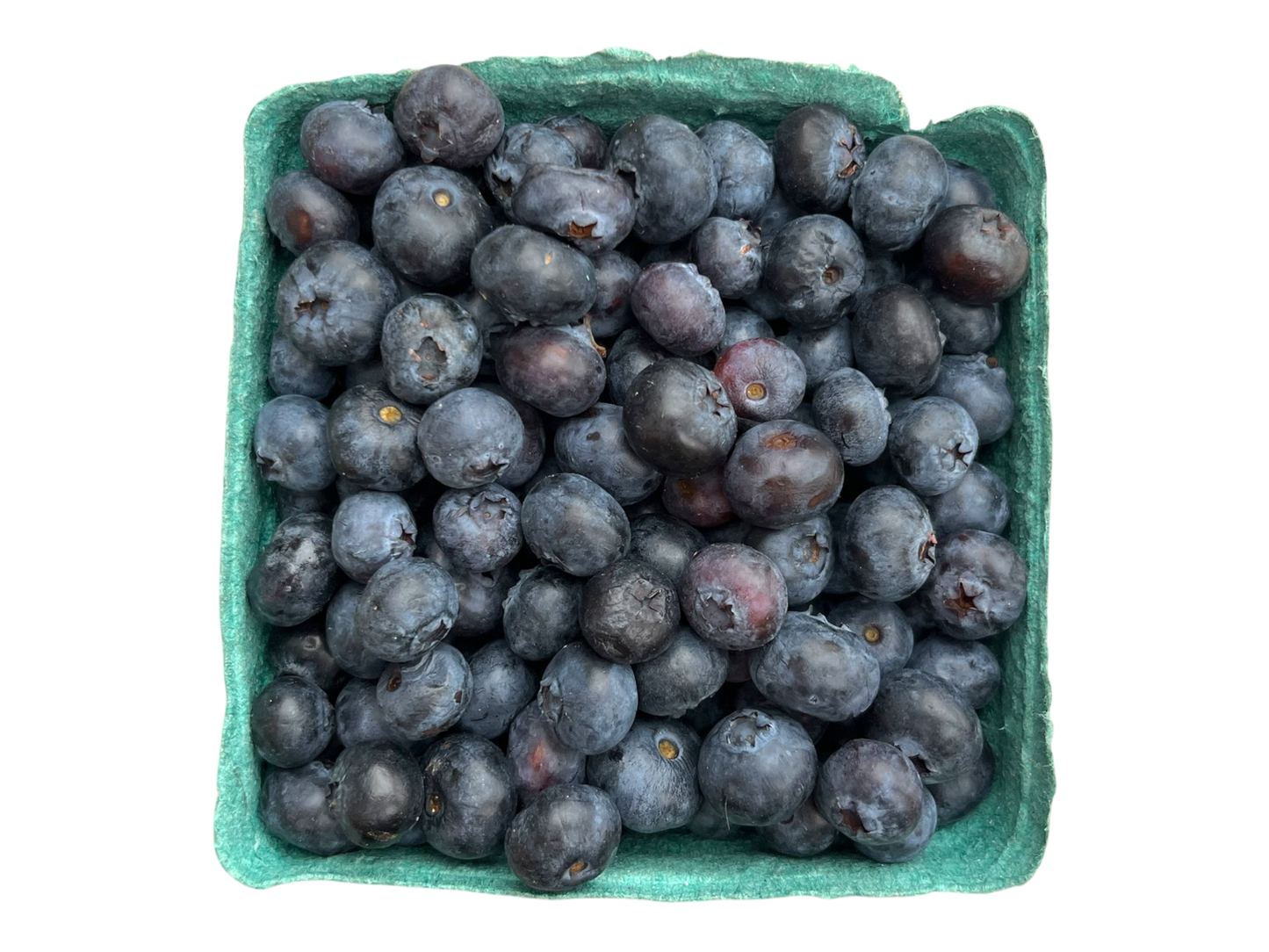 Local Blueberries