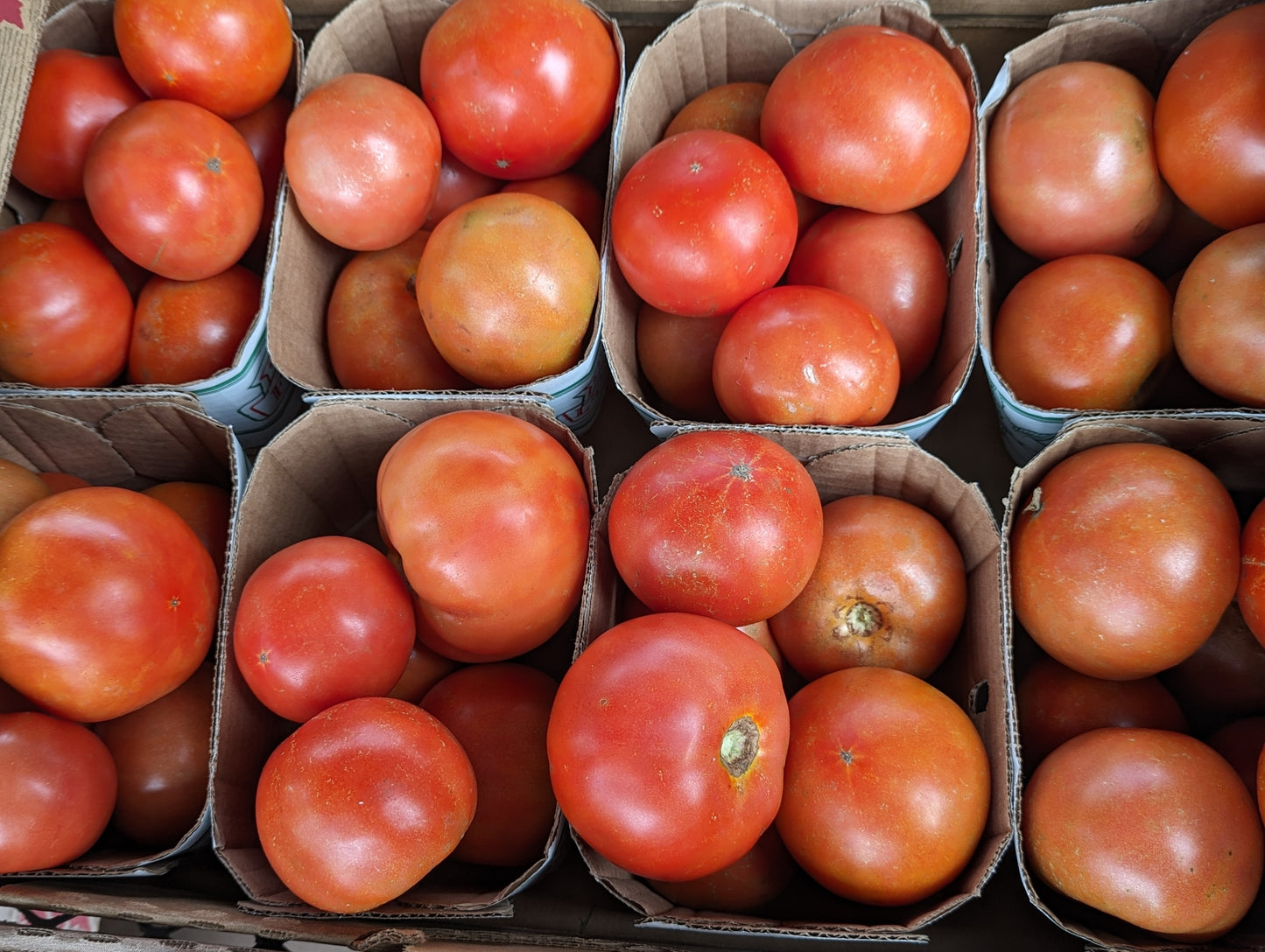 Bag of Imperfect Tomatoes - 5lbs minimum