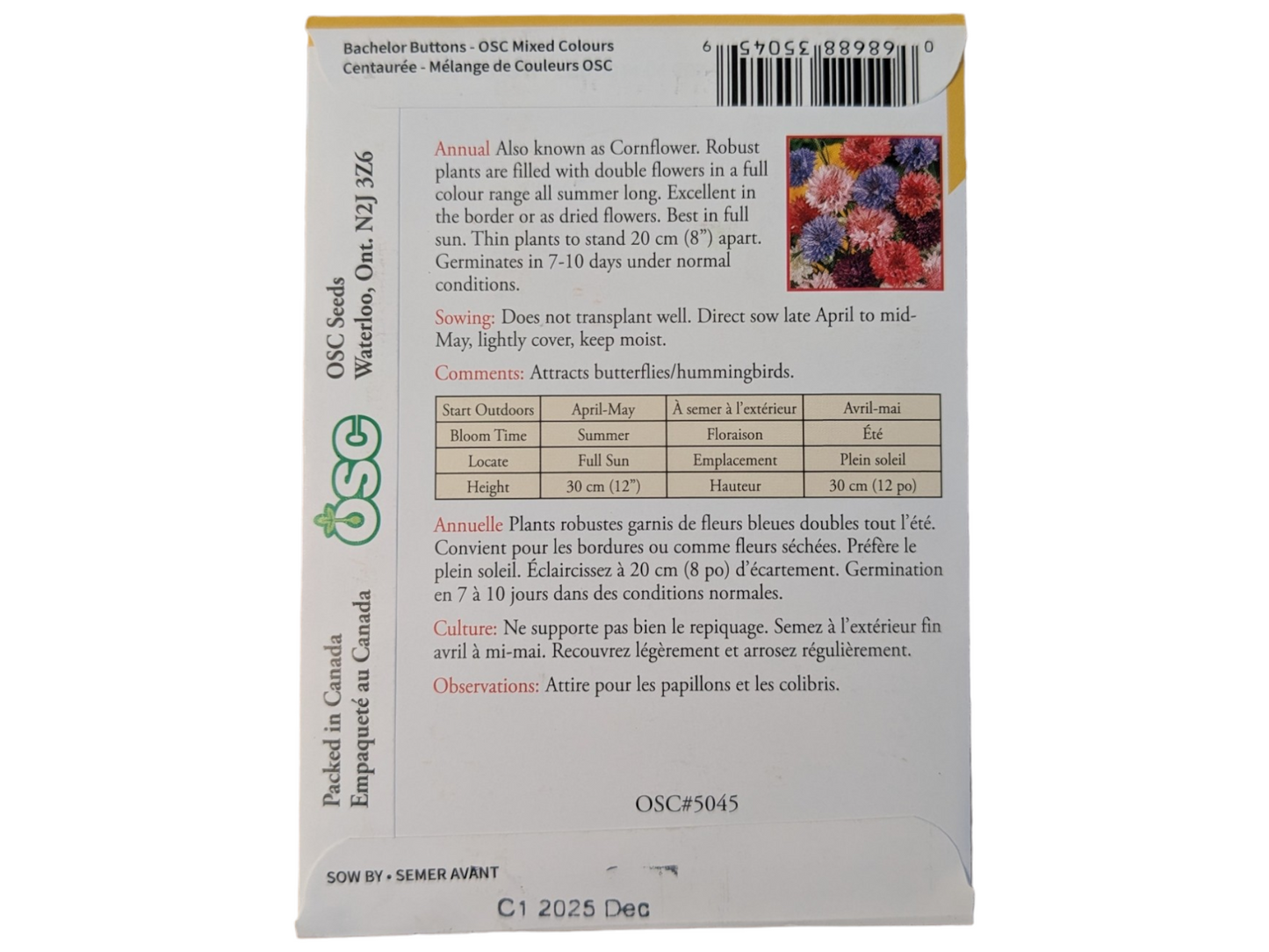 Bachelor Buttons OSC Mixed Colours