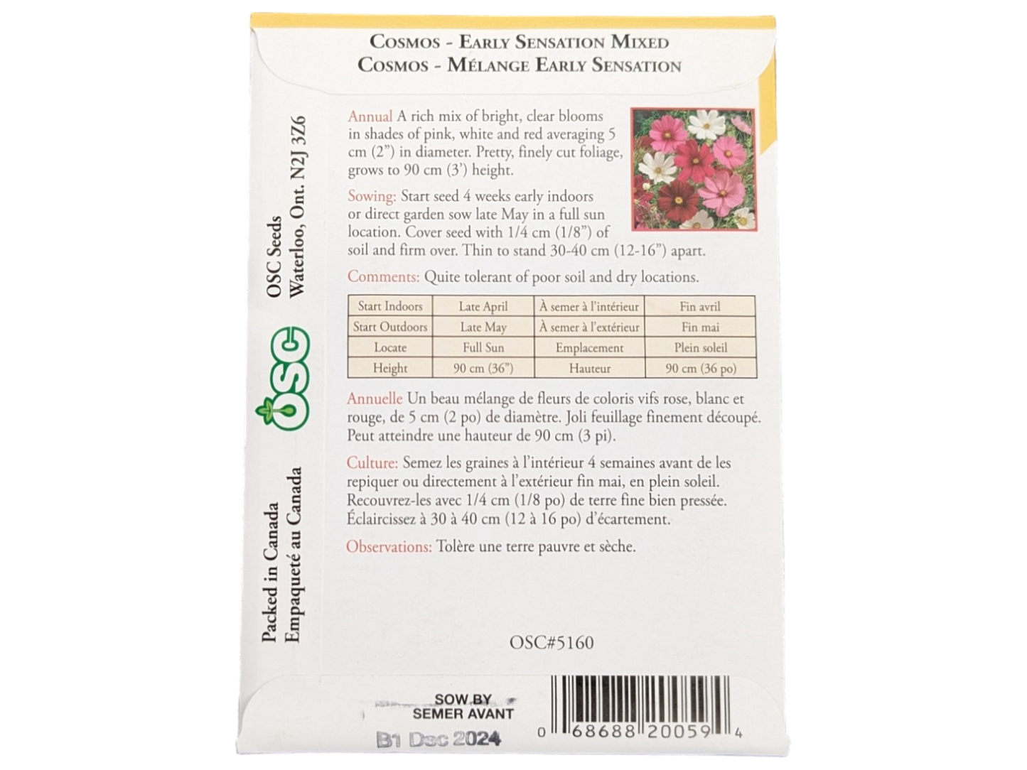 Cosmos Early Sensation Mixed