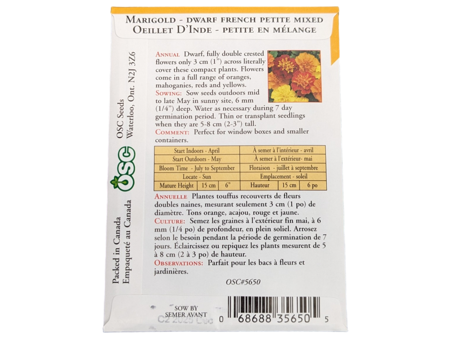 Marigold Dwarf French Petite Mixed