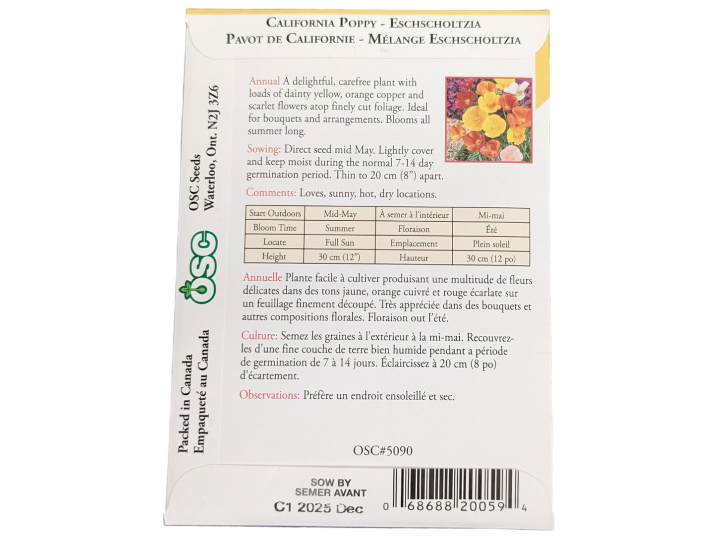 California Poppy Eschscholtzia