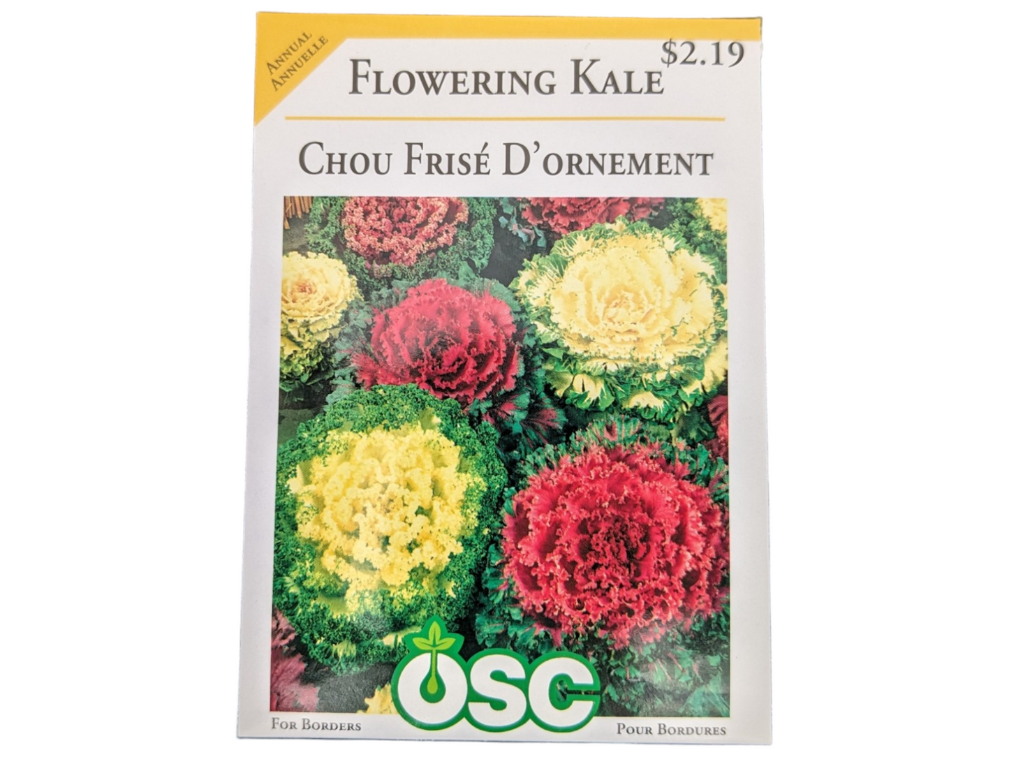 Flowering Kale