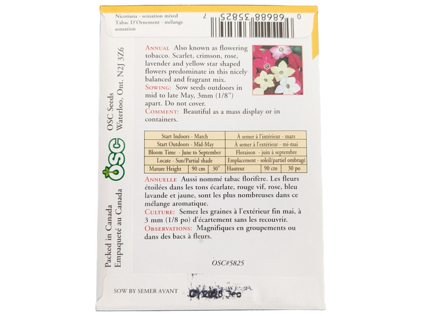 Nicotiana Sensation Mixed