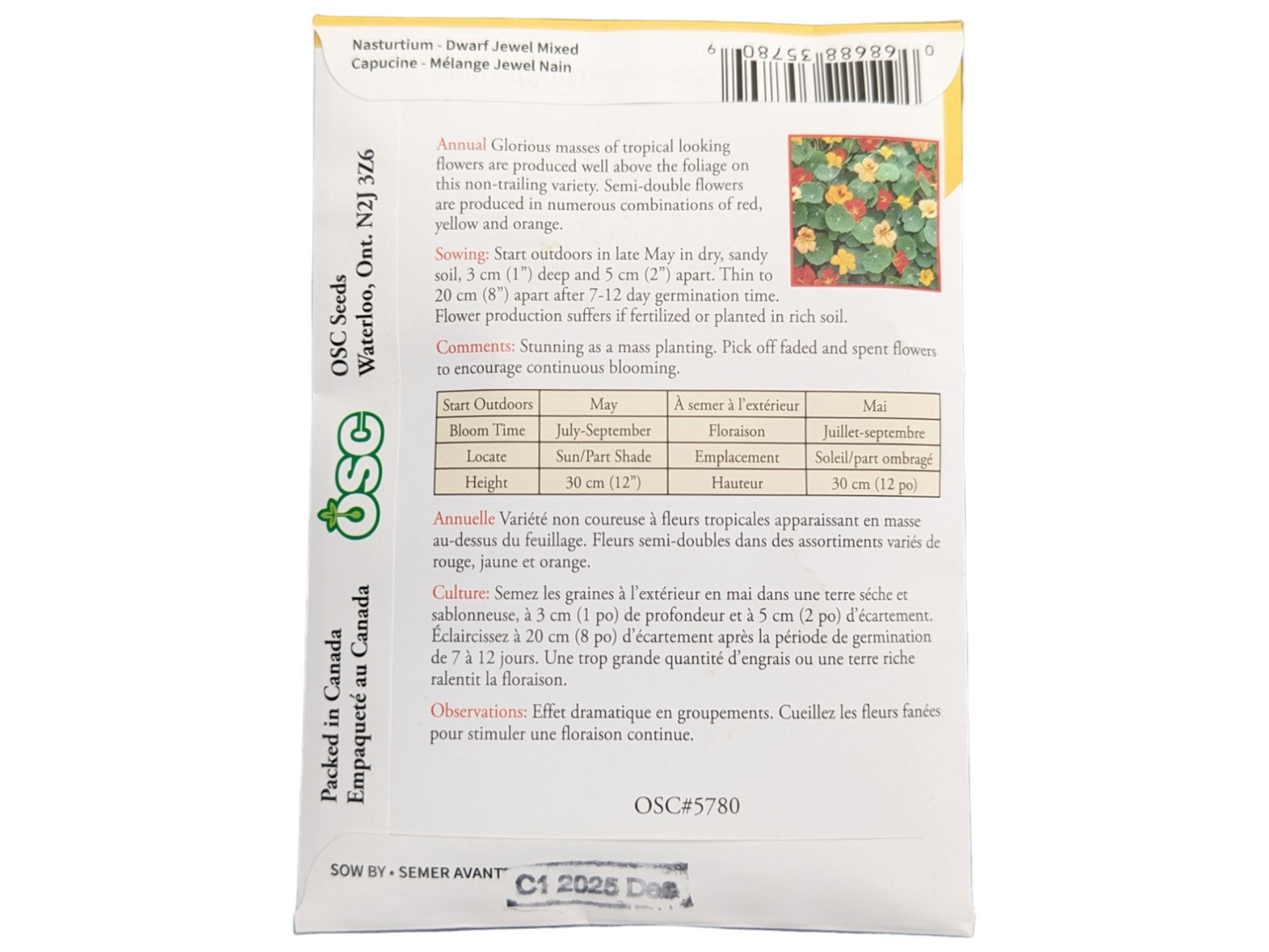 Nasturtium Dwarf Jewel Mixed