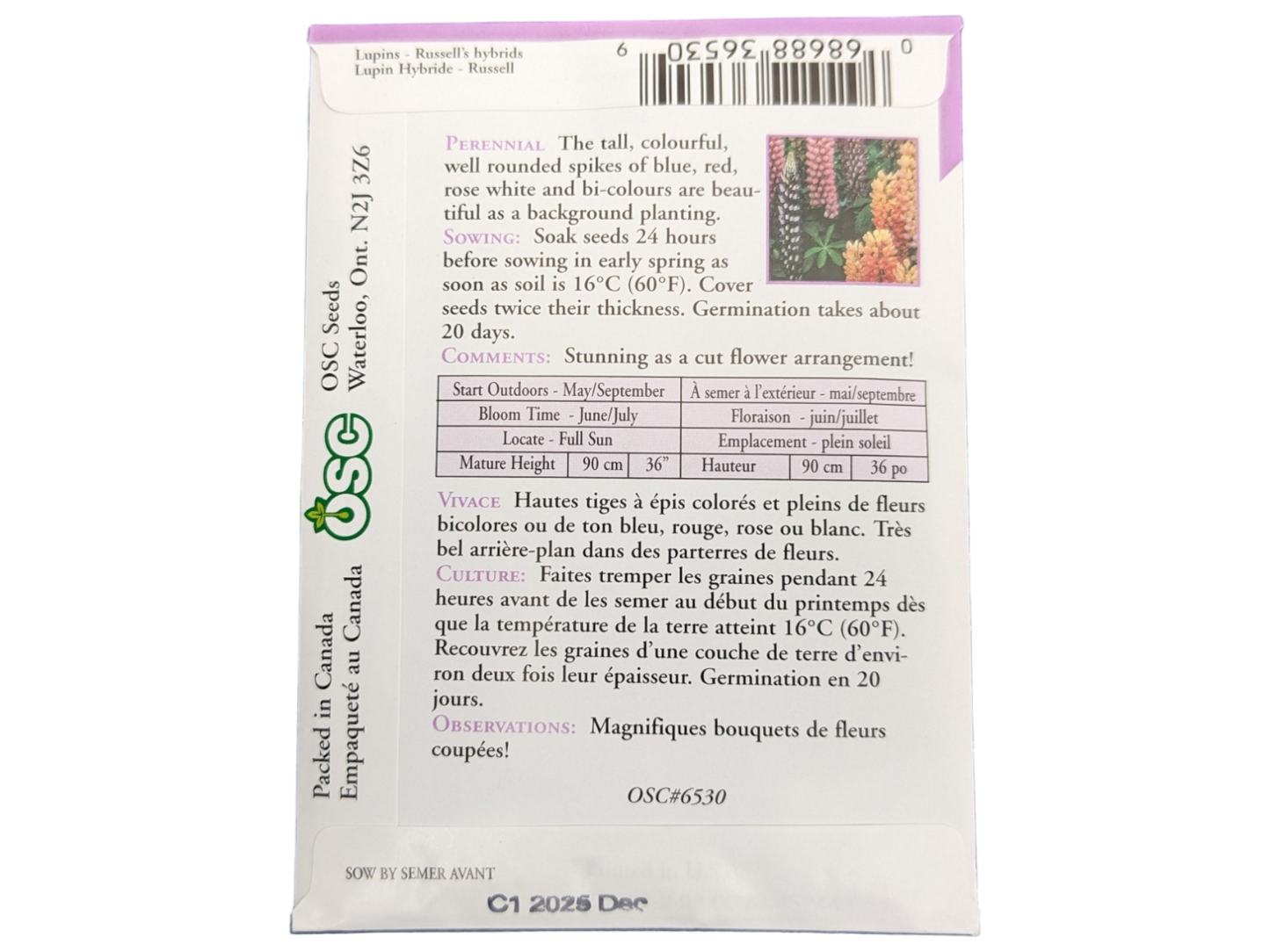 Lupins Russell's Hybrids