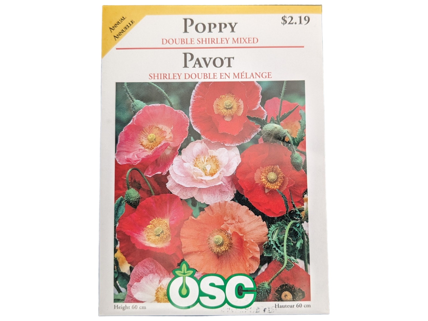 Poppy Double Shirley Mixed