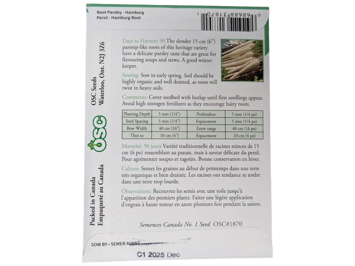 Root Parsley Hamburg