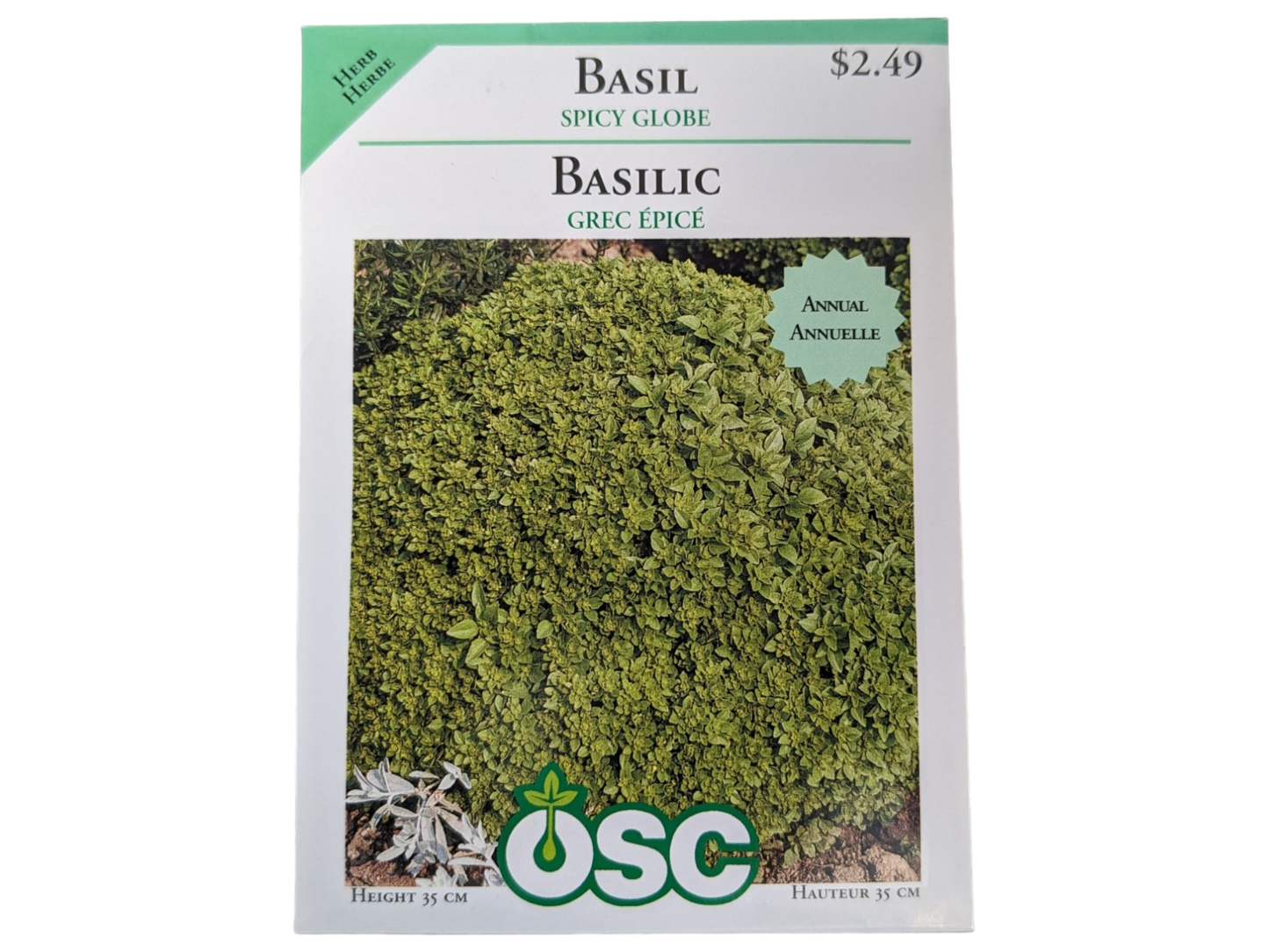 Basil Spicy Globe