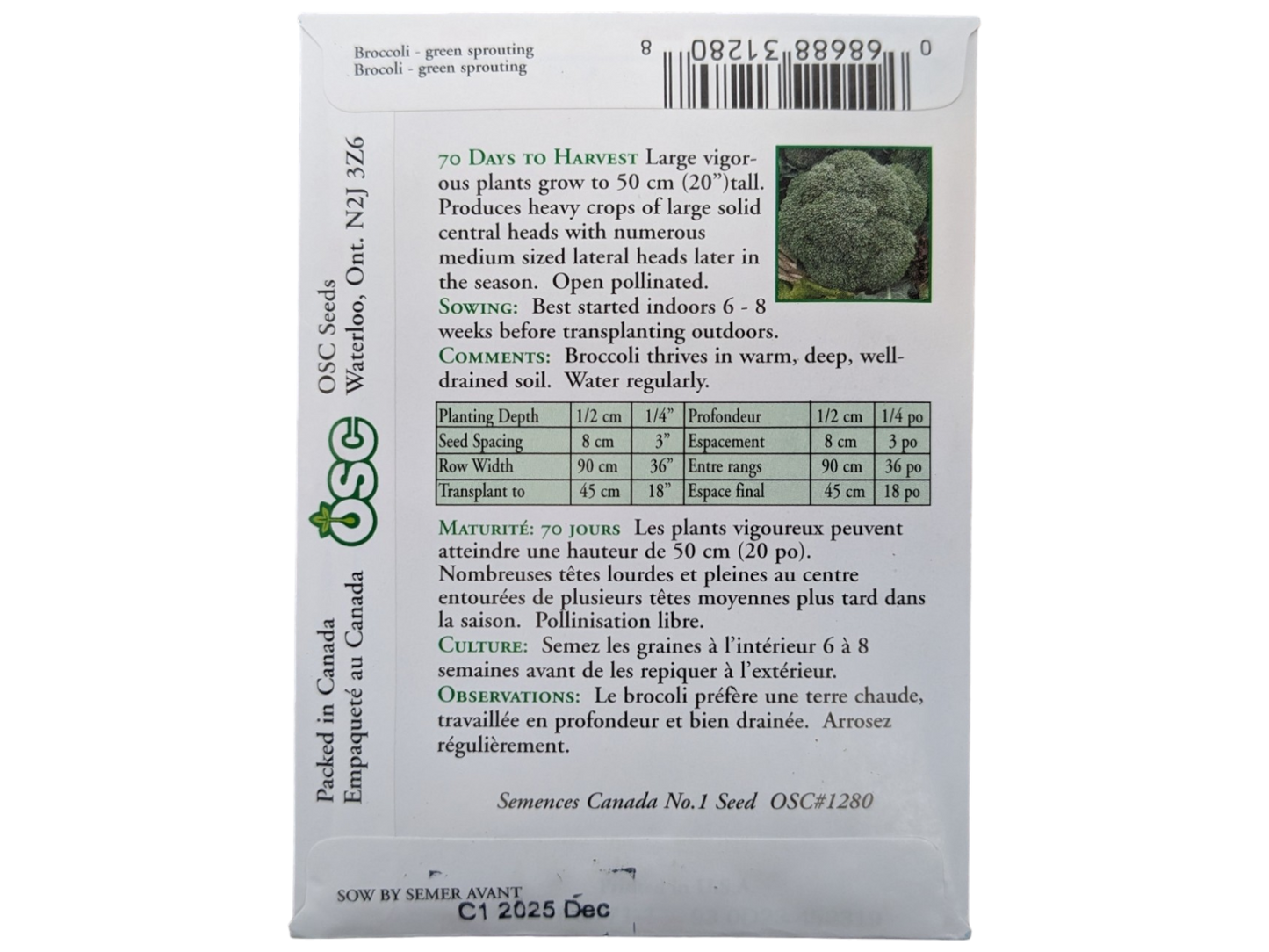 Broccoli Green Sprouting