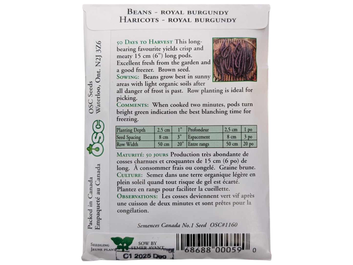 Beans - Royal Burgandy