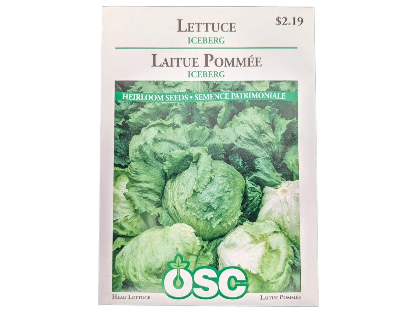 Lettuce Iceberg