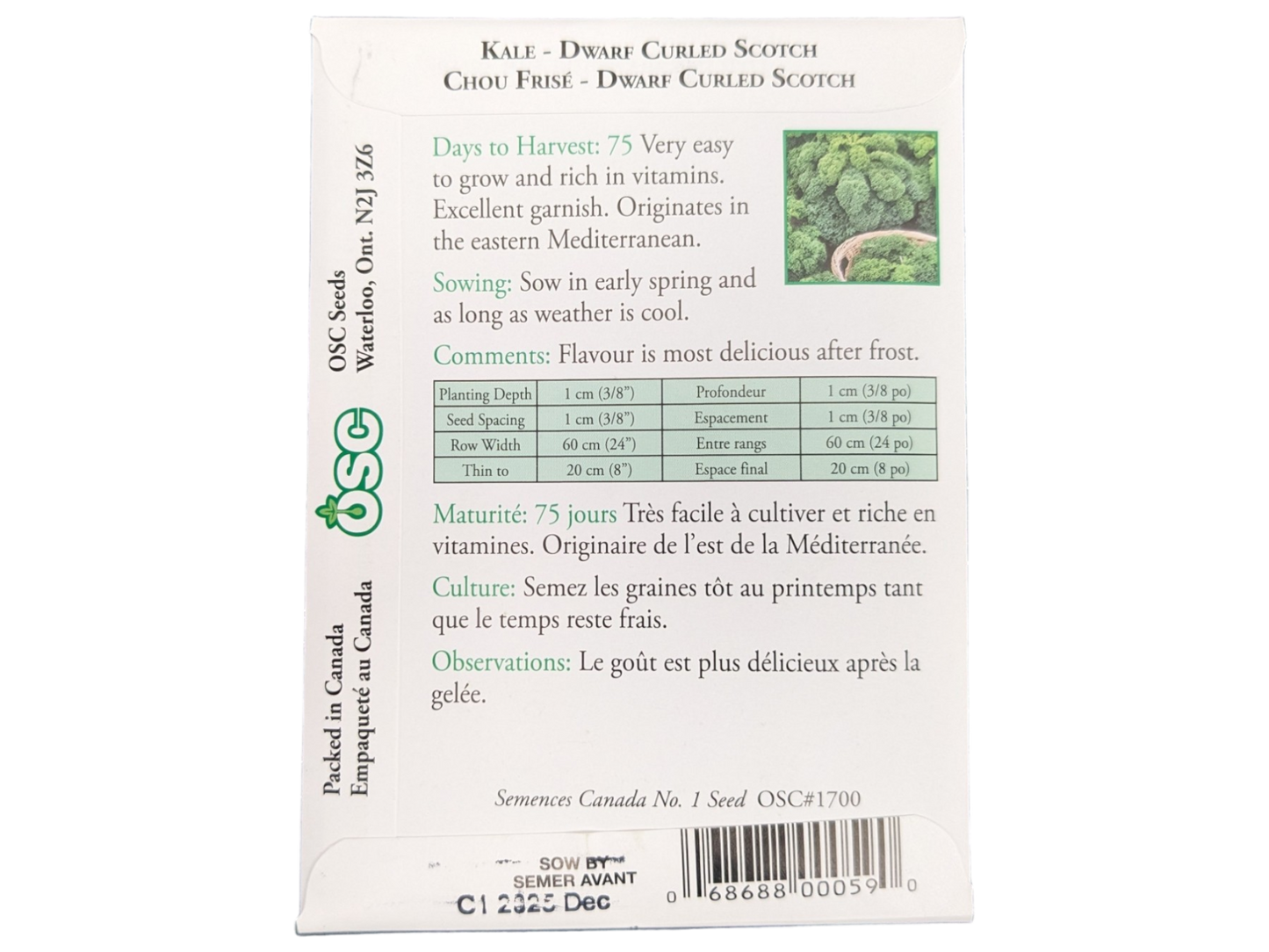 Kale Dwarf Curled Scotch