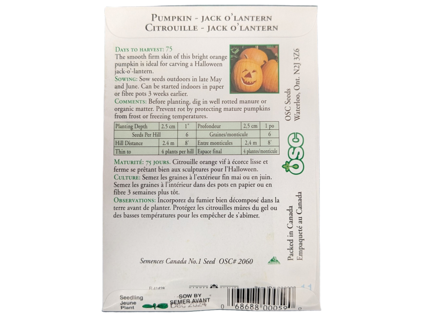 Pumpkin Jack O’lantern