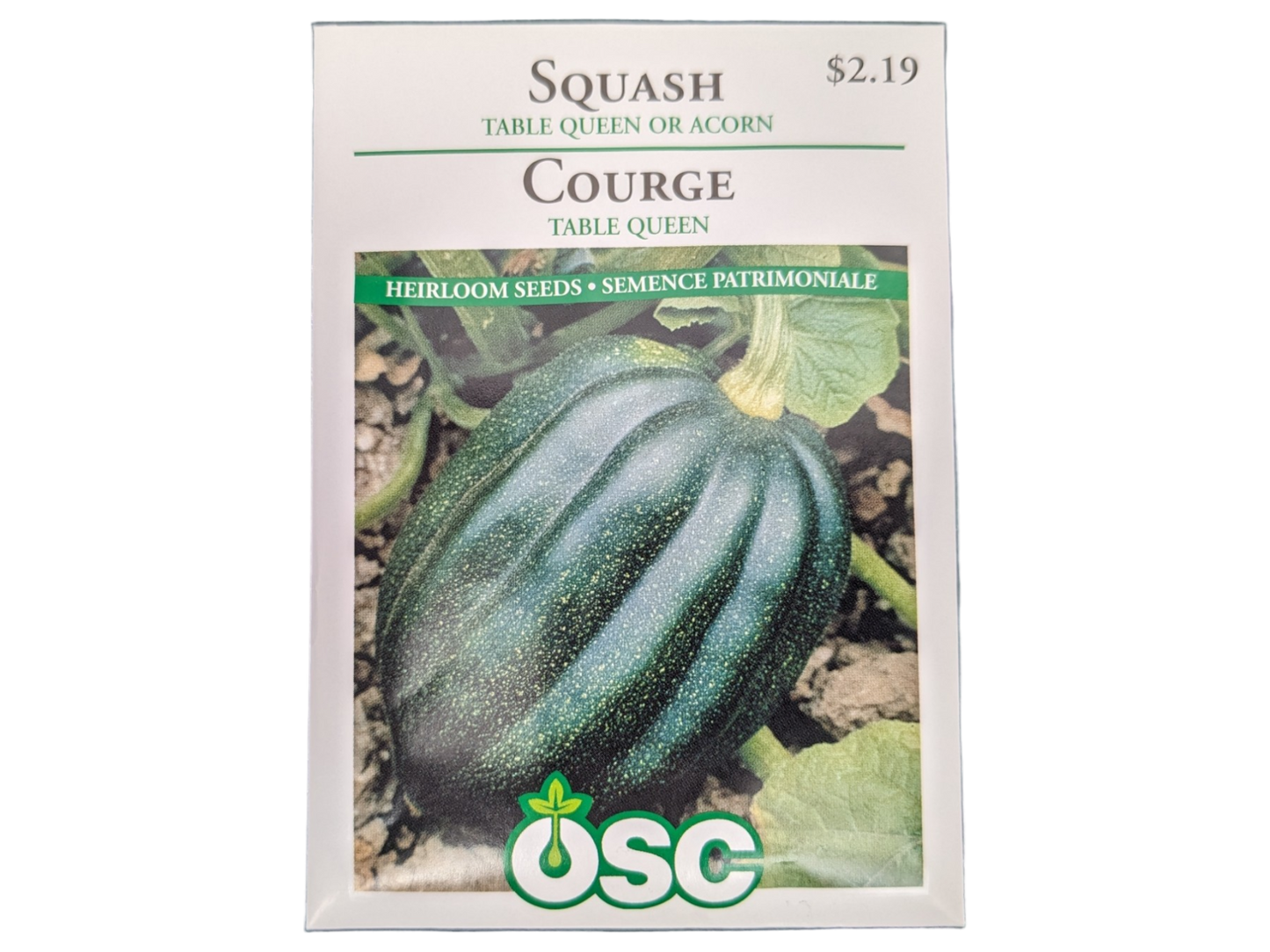 Squash Table Queen or Acorn