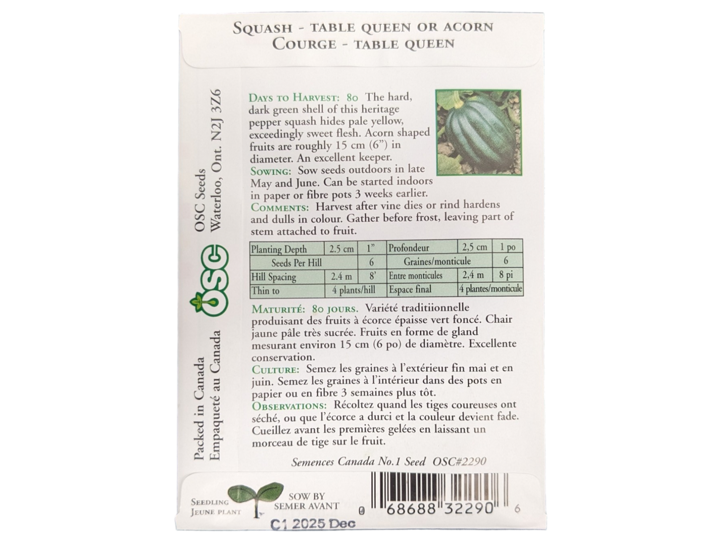 Squash Table Queen or Acorn