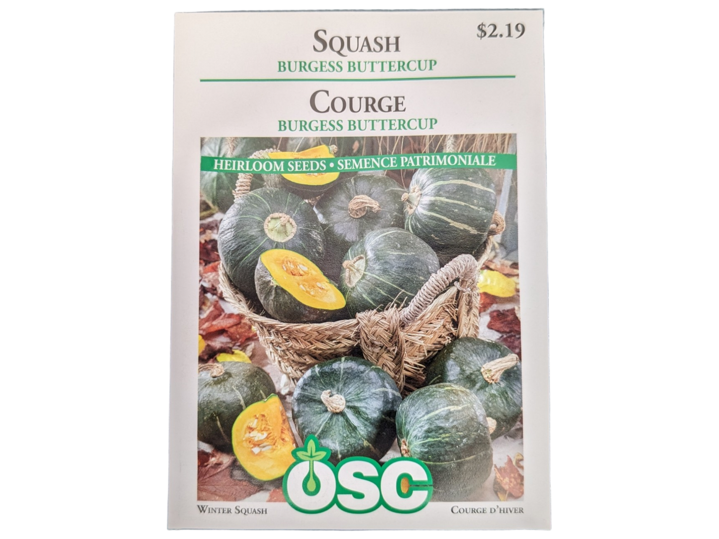 Squash Burgess Buttercup