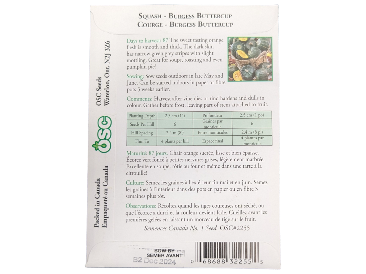 Squash Burgess Buttercup