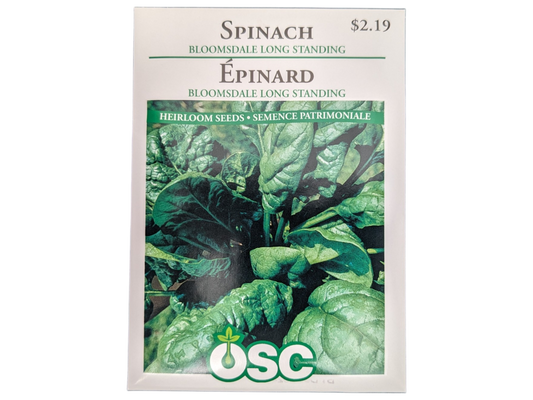 Spinach Bloomsdale Long Standing