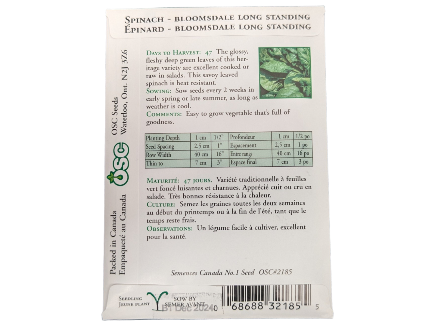 Spinach Bloomsdale Long Standing