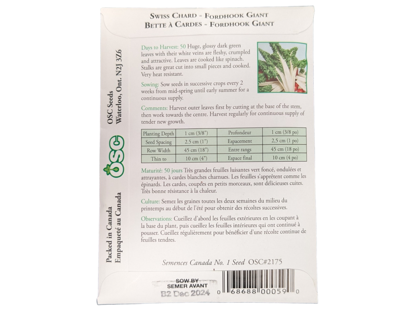 Swiss Chard Fordhook Giant