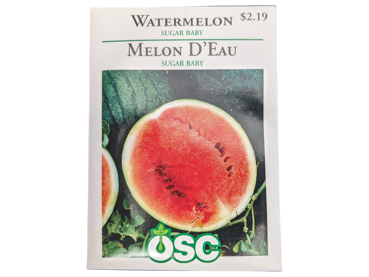 Watermelon Sugar Baby