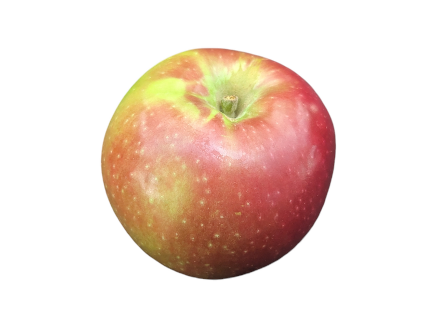 McIntosh Apples - Local