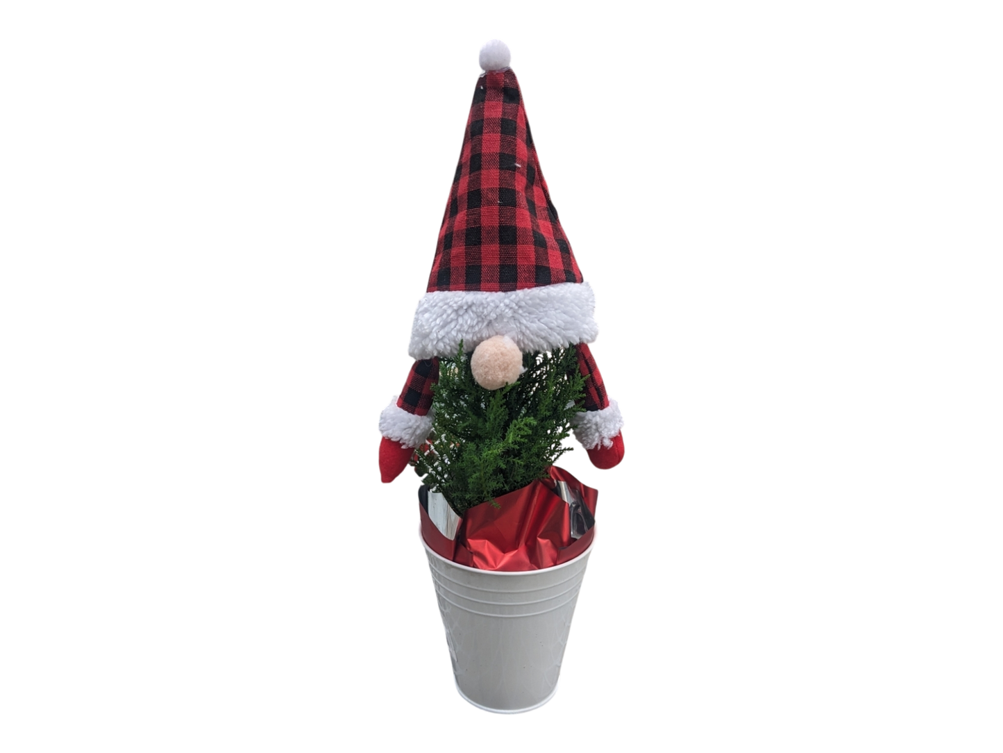 5" Gnome Tree