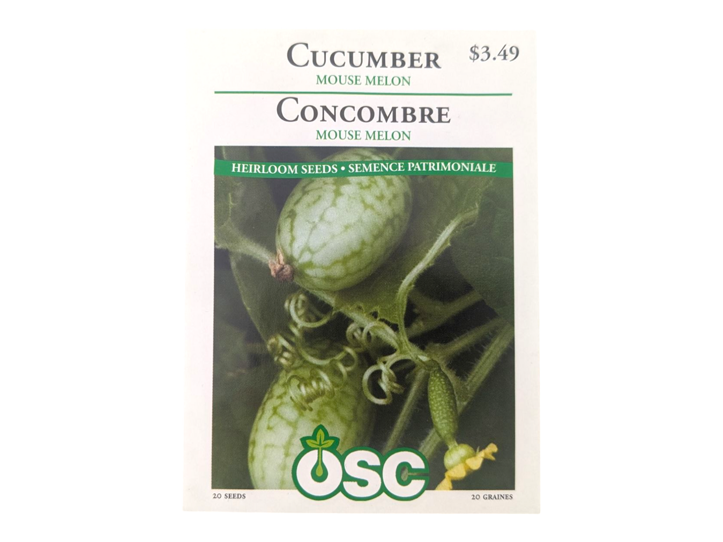 Cucumber Mouse Melon