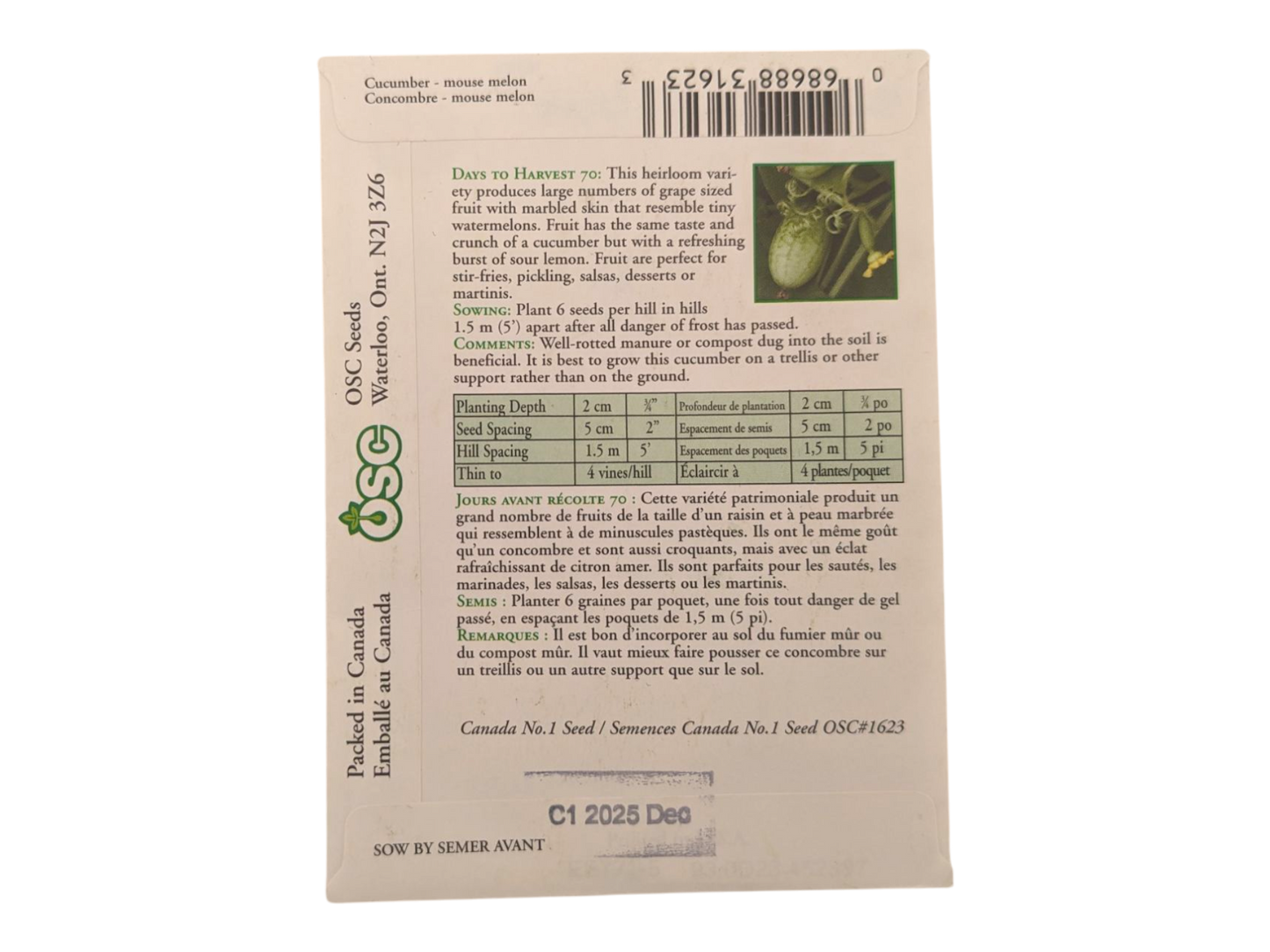 Cucumber Mouse Melon