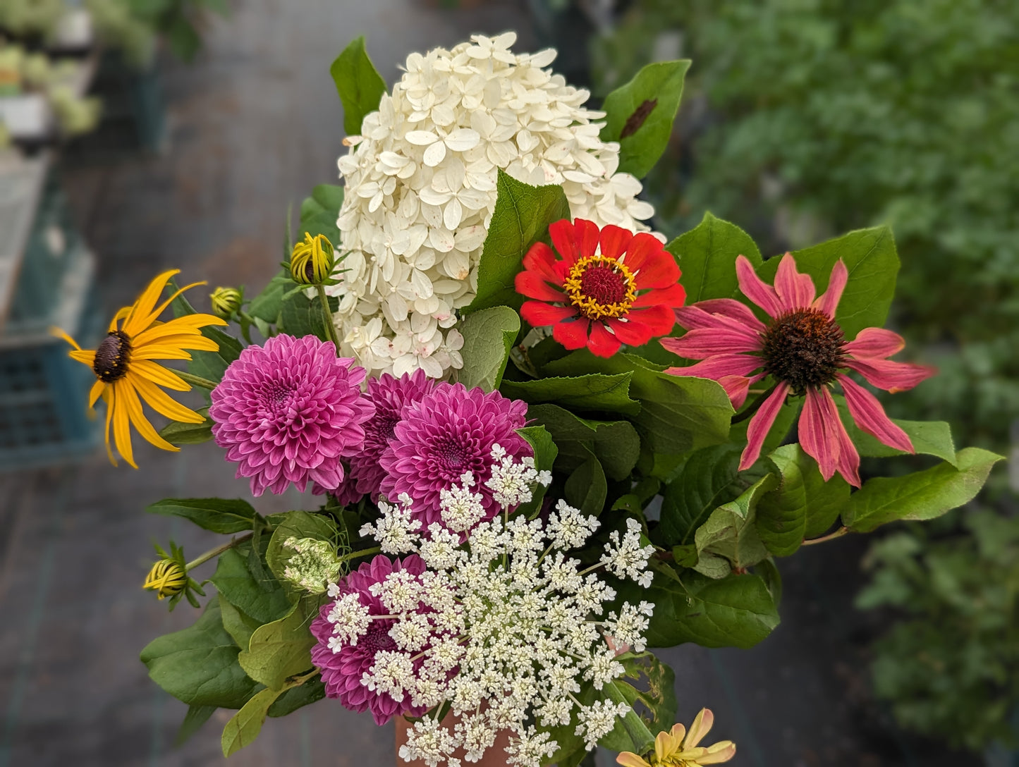 $20 Surprise Bouquet